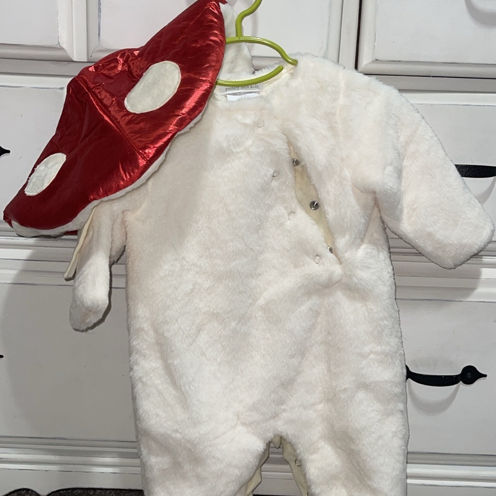 Pottery barn mushroom costume